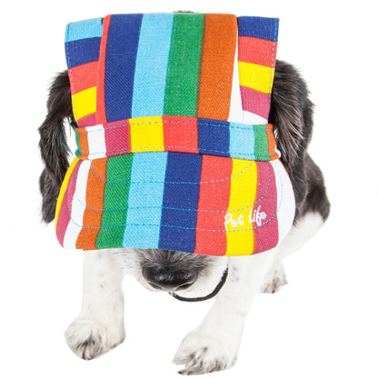Dog wearing a colorful quilted vest on a white background