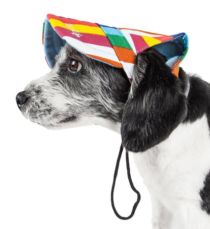 Dog wearing a colorful bandana with a patterned background