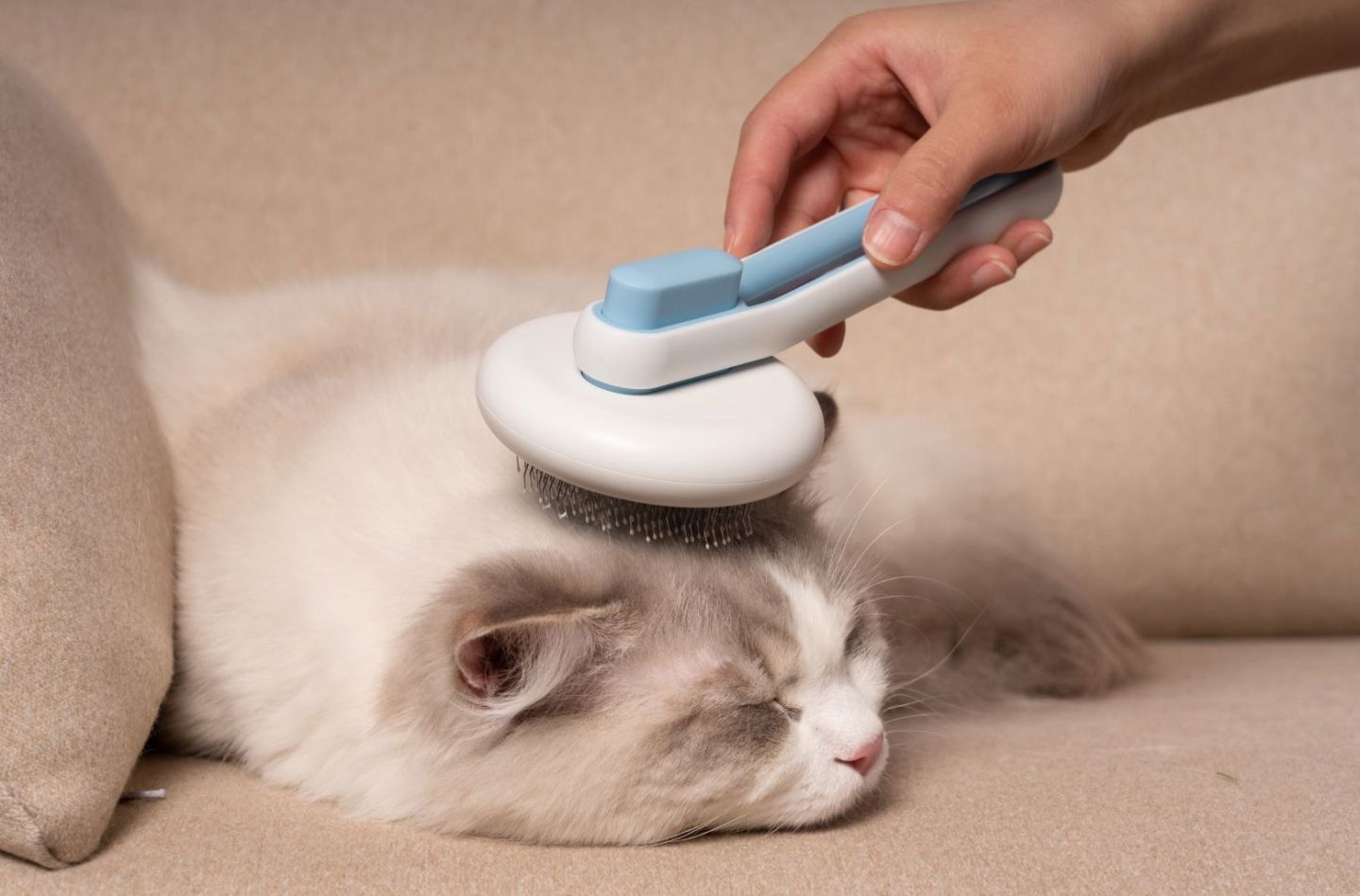 Person grooming a cat with a pet grooming brush on a beige couch.