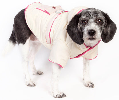 Dog wearing a white puffer coat with pink trim on a white background