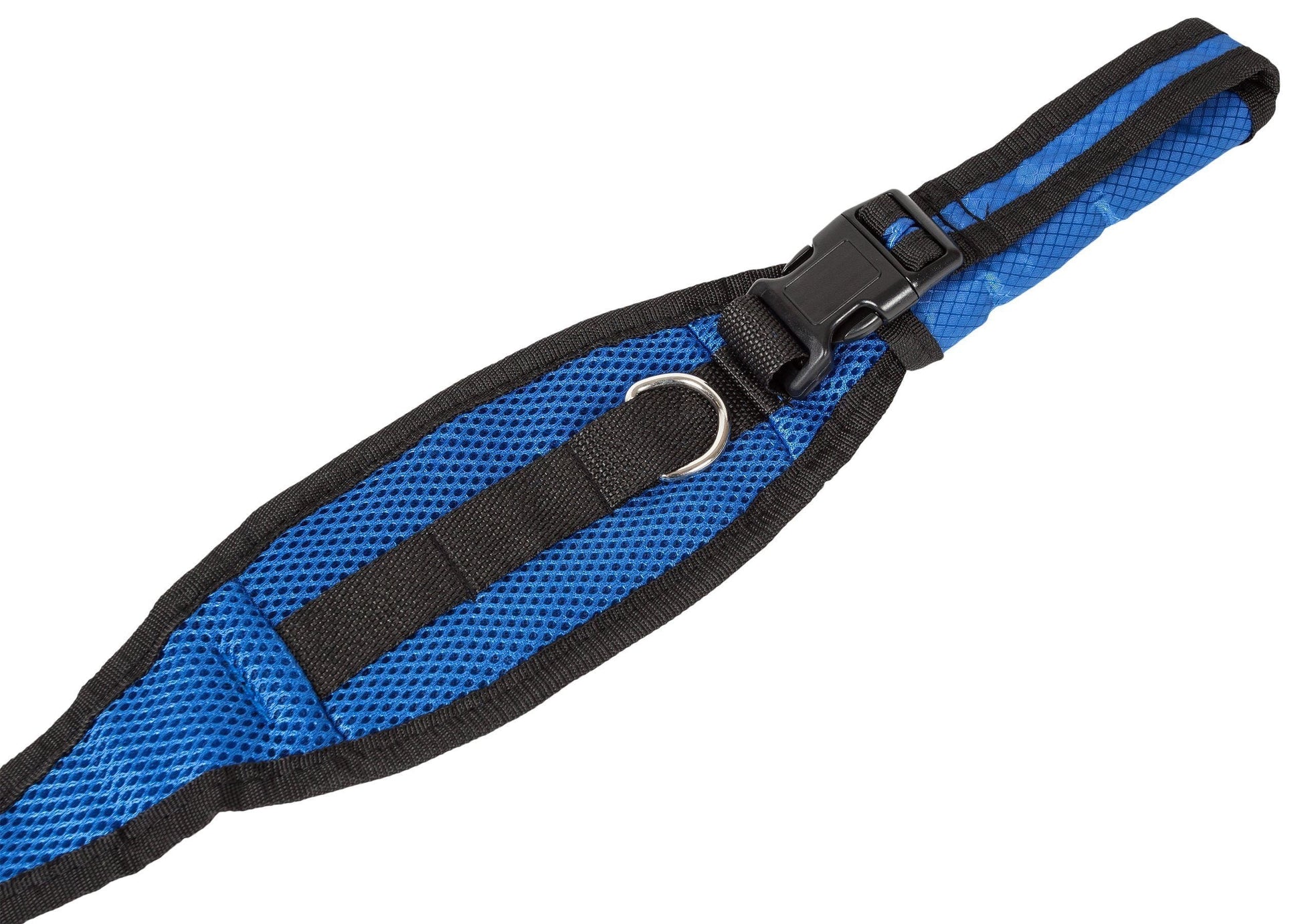 Blue and black dog collar on a white background