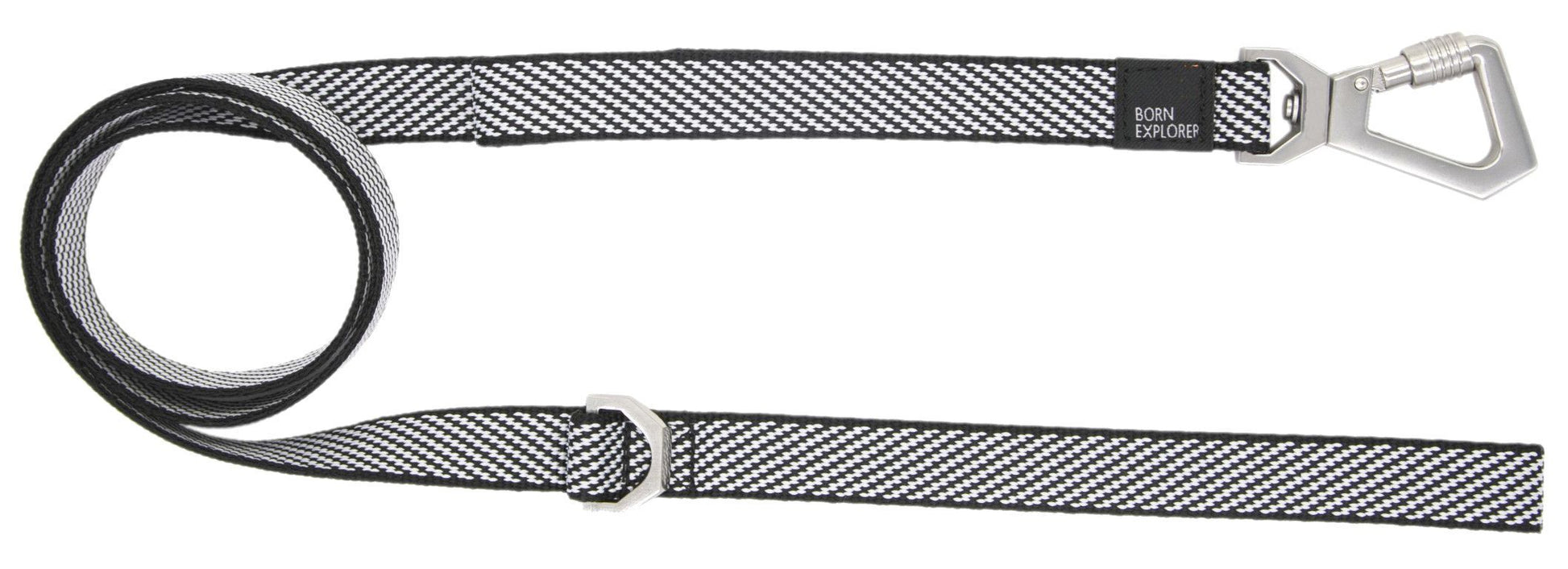 Dog leash with patterned design and metal clip on a white background