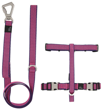 Pink and purple dog harness and leash set on a white background