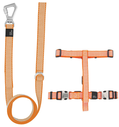 Orange dog harness and leash set on a white background