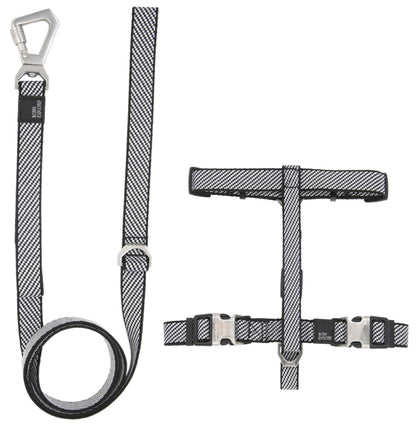 Dog harness and leash set with metal hardware on a white background