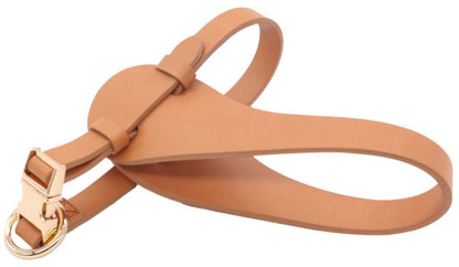 Tan leather dog leash with gold clasp on a white background