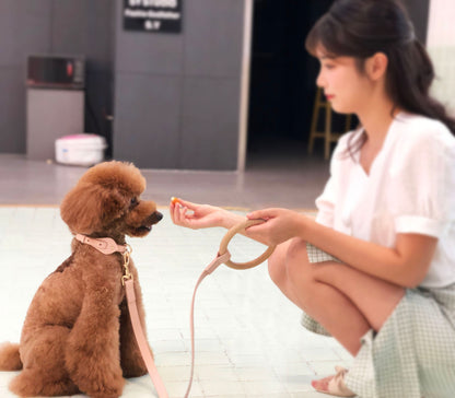 Woman sitting on the floor with a small brown dog, holding a treat.
