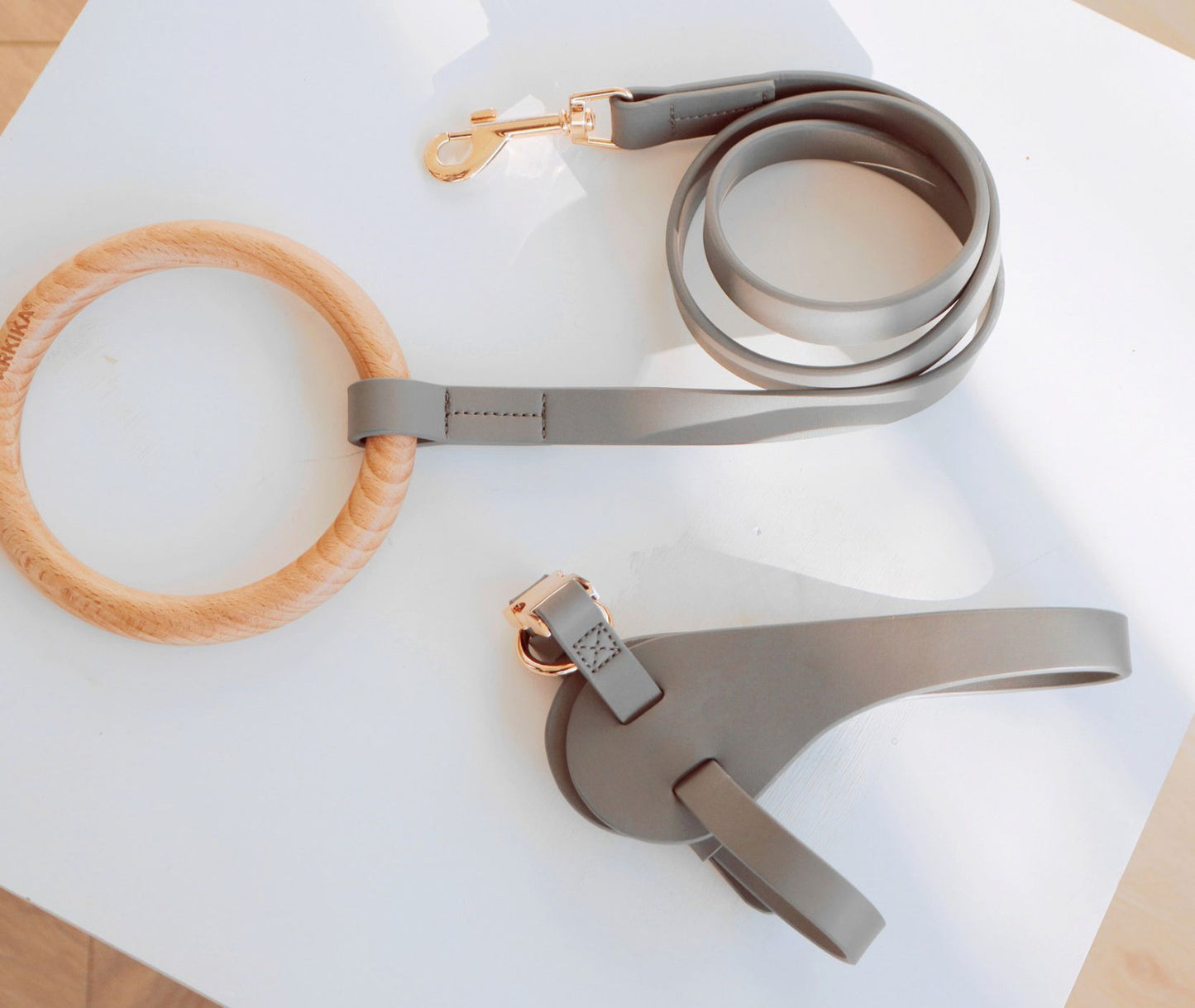 Dog leash, collar, and tag on a white surface