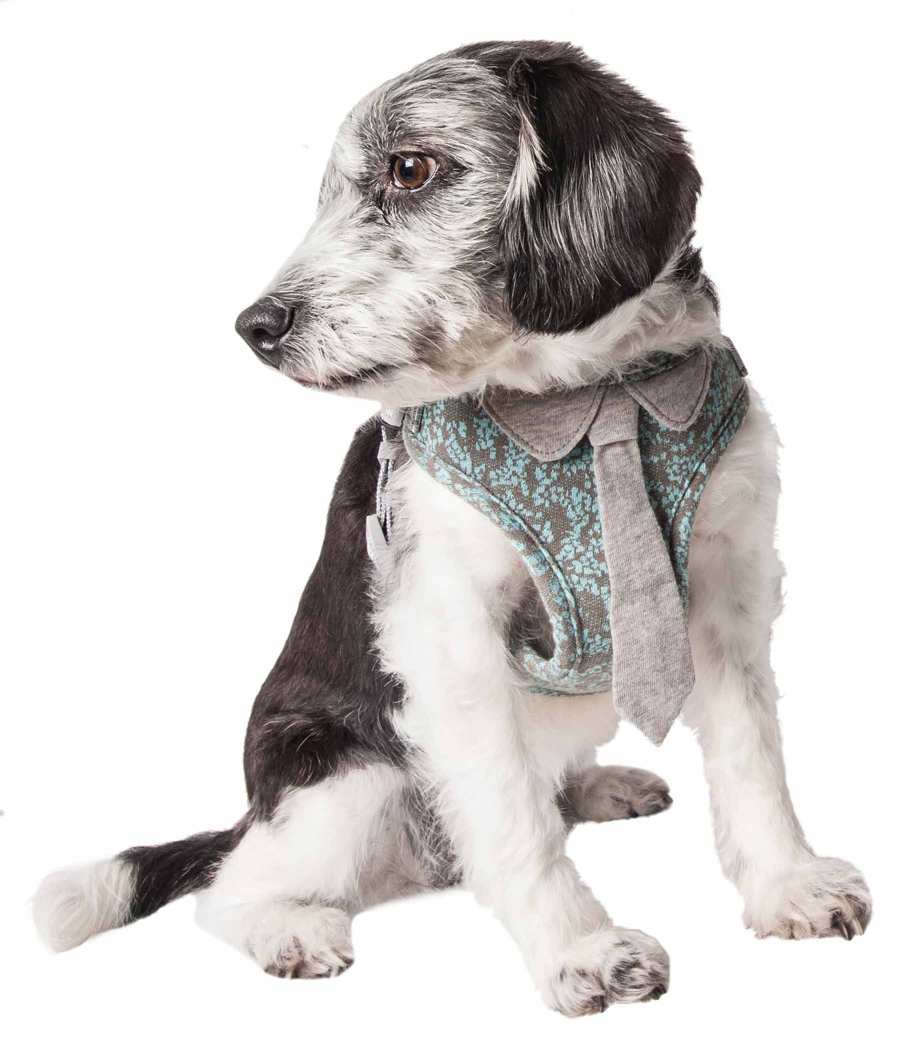 Dog wearing a floral harness on a white background