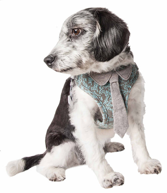 Dog wearing a floral harness on a white background