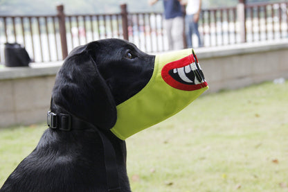 Black dog wearing a green ball with a mouth design outdoors