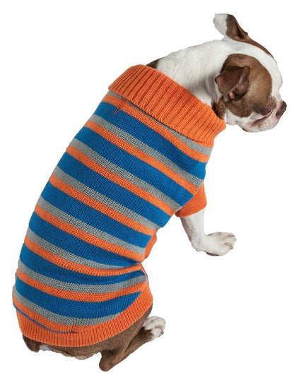 Dog wearing an orange and blue striped sweater on a white background