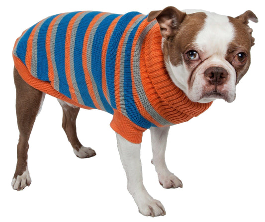 Dog wearing a striped sweater on a white background