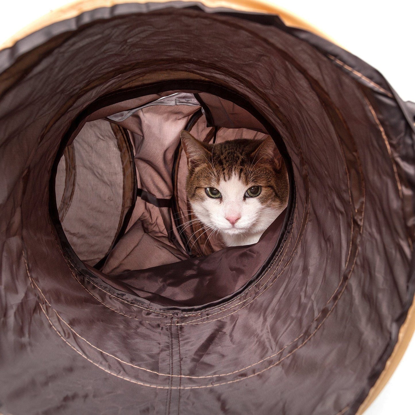 Cat peeking out from inside a brown fabric tunnel