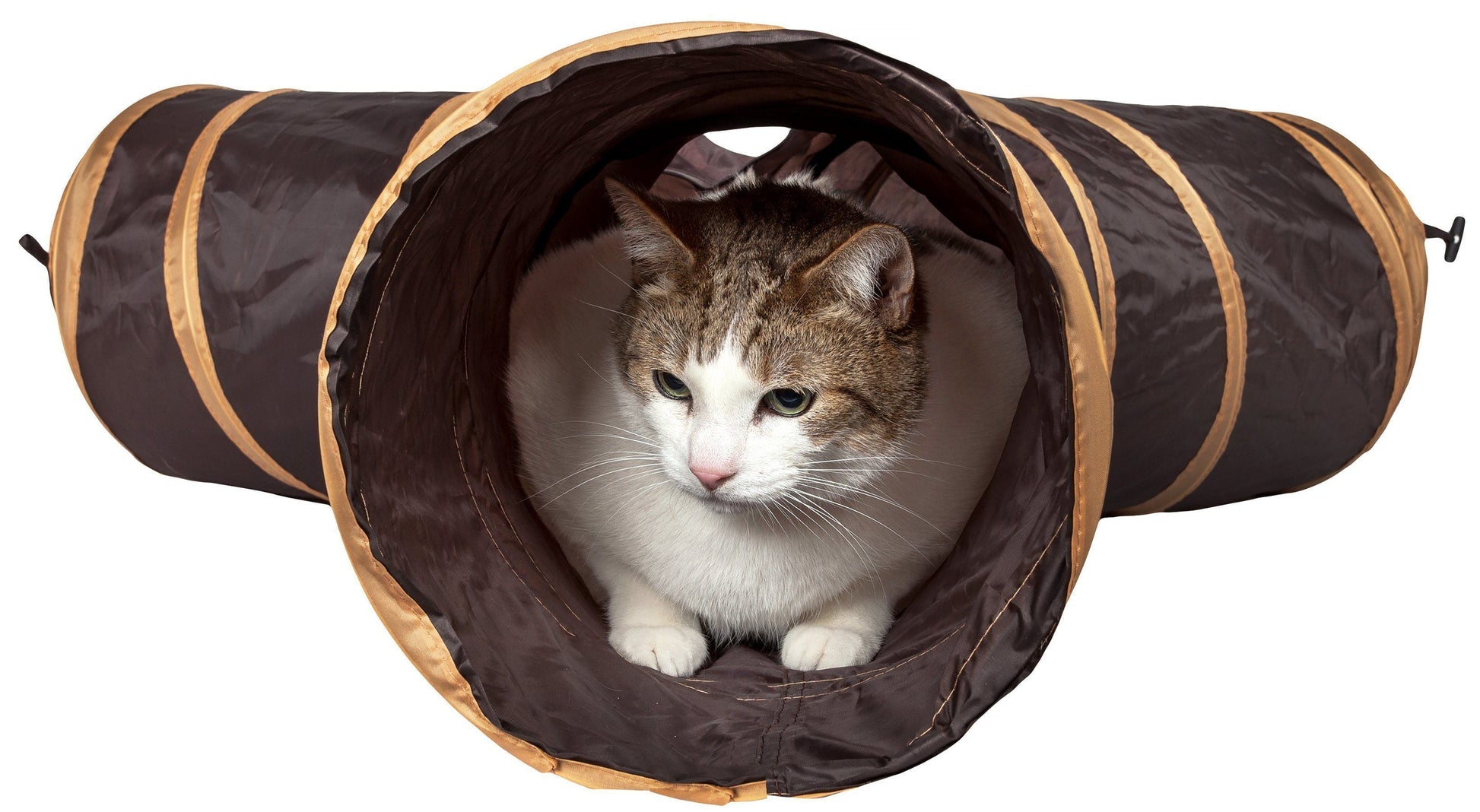 Cat inside a brown and beige tunnel on a white background