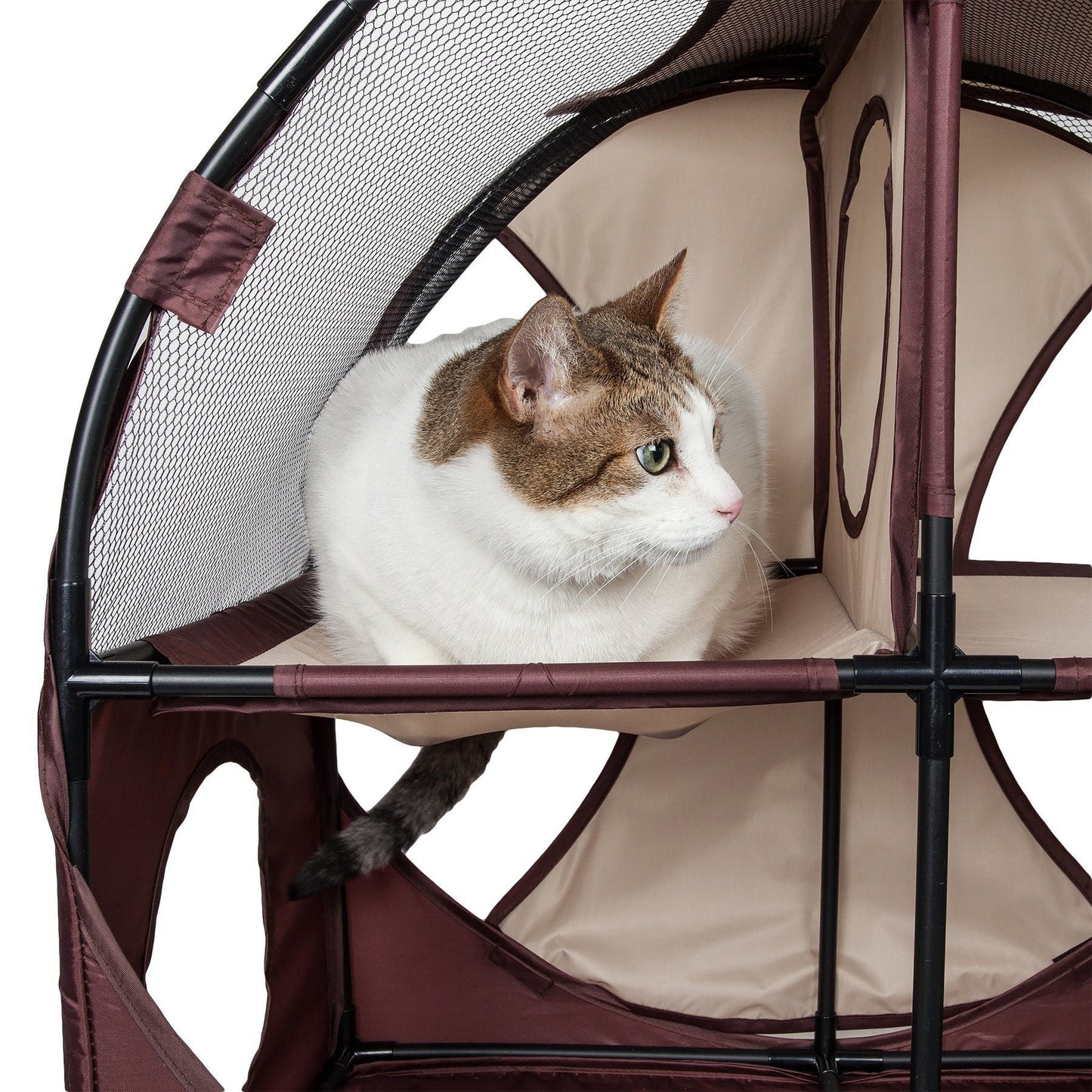 Cat inside a pet playpen with a white background