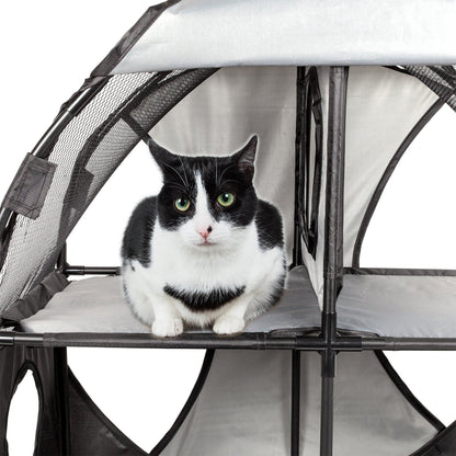 Black and white cat inside a pet carrier on a white background
