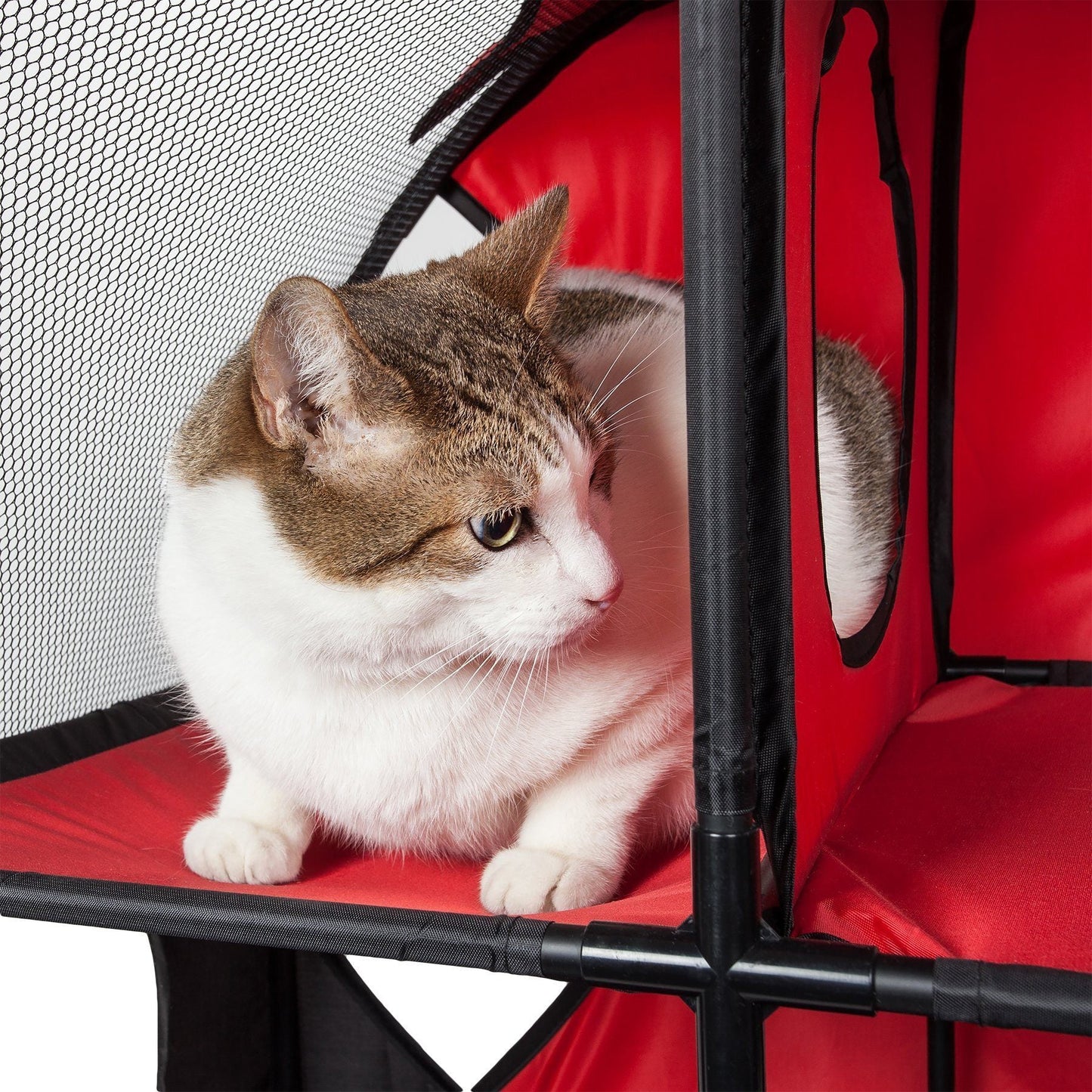Cat inside a red pet carrier with a white background