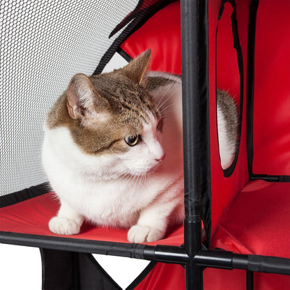 Cat inside a red pet carrier with a white background