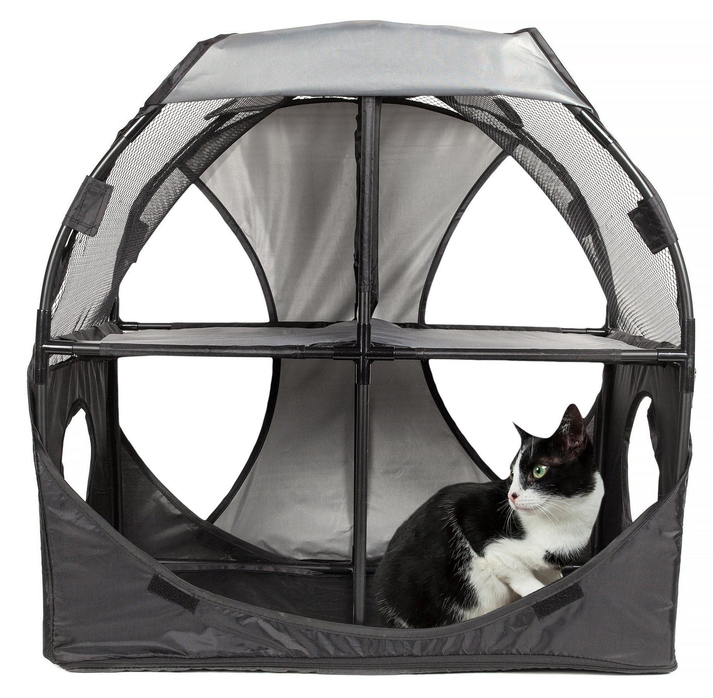 Cat inside a gray pet enclosure with a white background