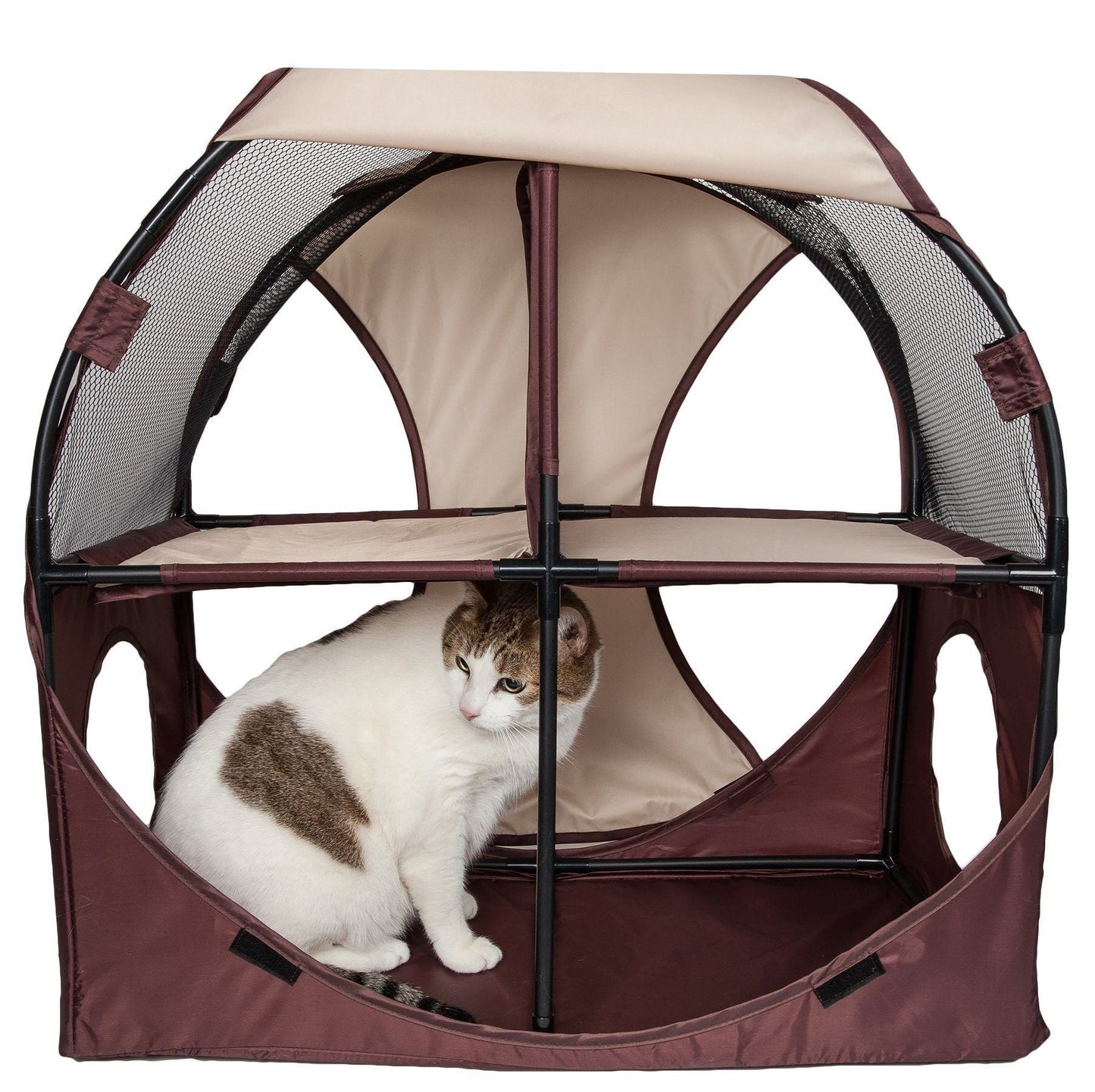 Cat inside a brown and beige pet playpen on a white background