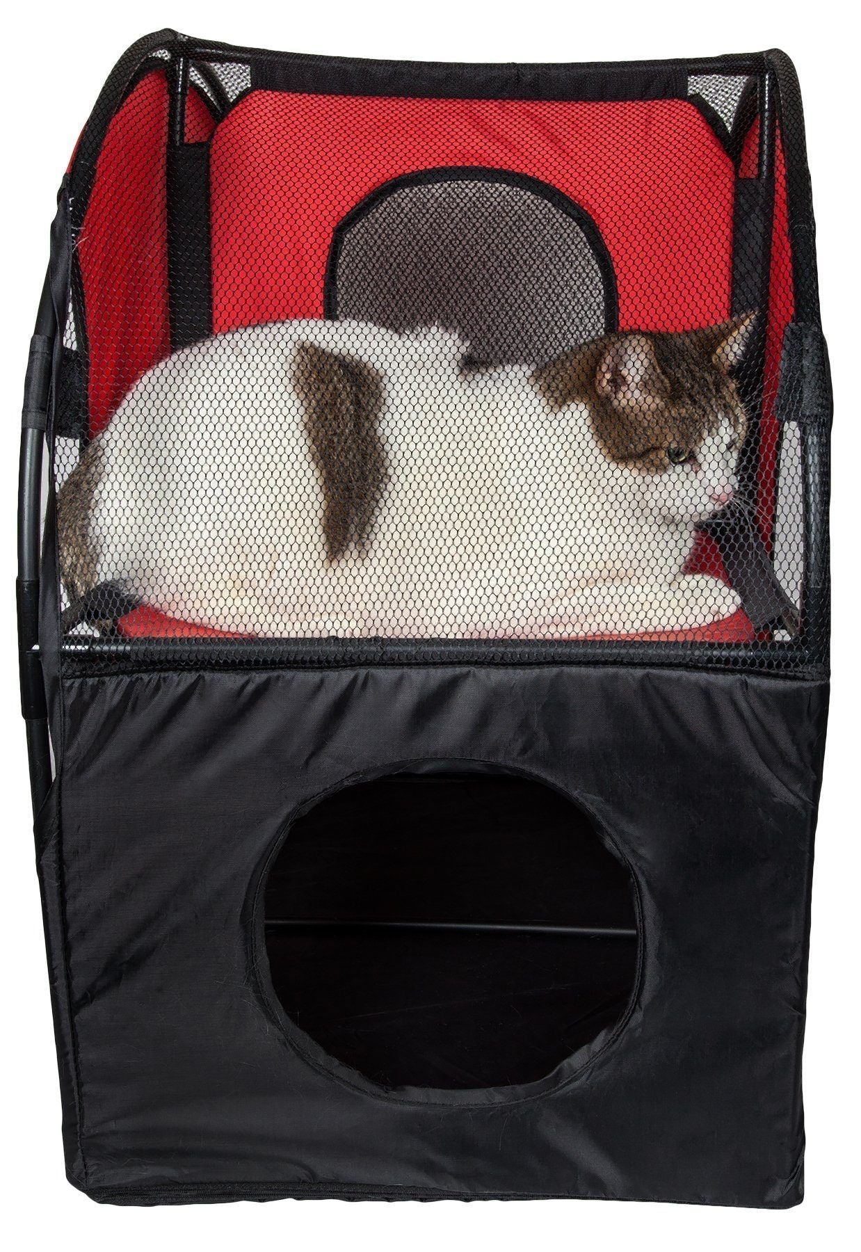 Cat sitting inside a red and black pet carrier