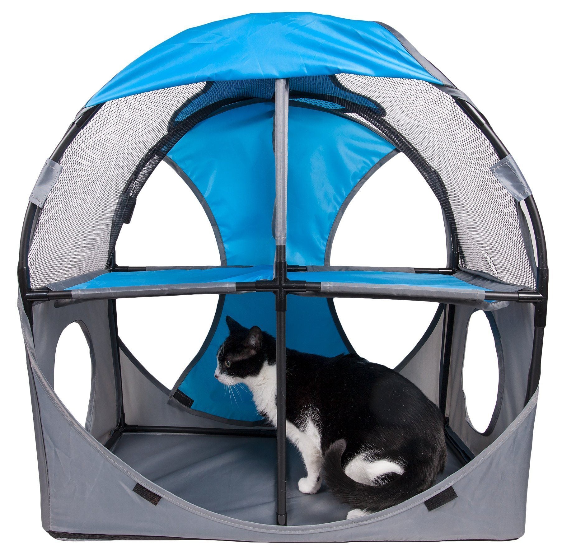 Cat playing inside a blue and gray pet playpen on a white background