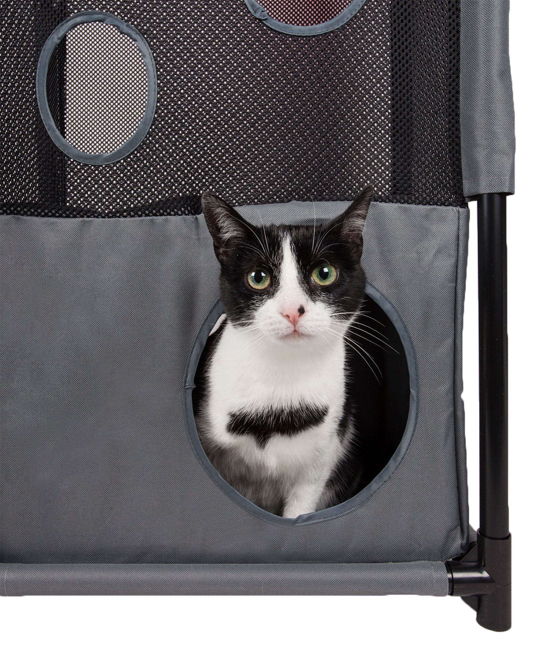 Cat peeking out from a gray pet playpen with circular openings