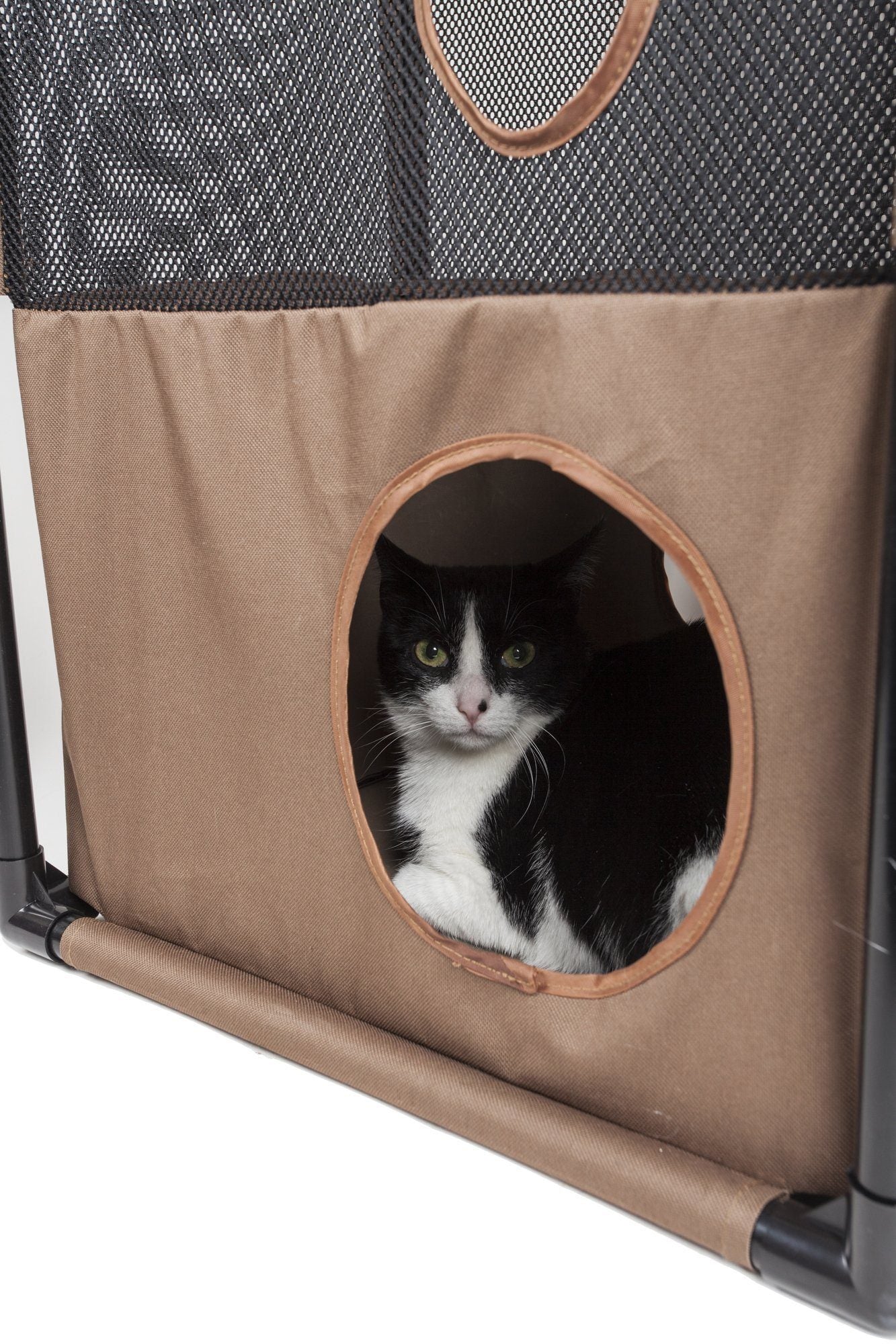 Cat peeking out from a circular opening in a pet carrier with a beige interior.