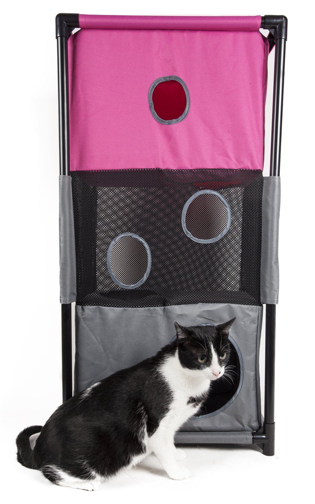 Cat sitting inside a pink and gray pet playpen with mesh sides.