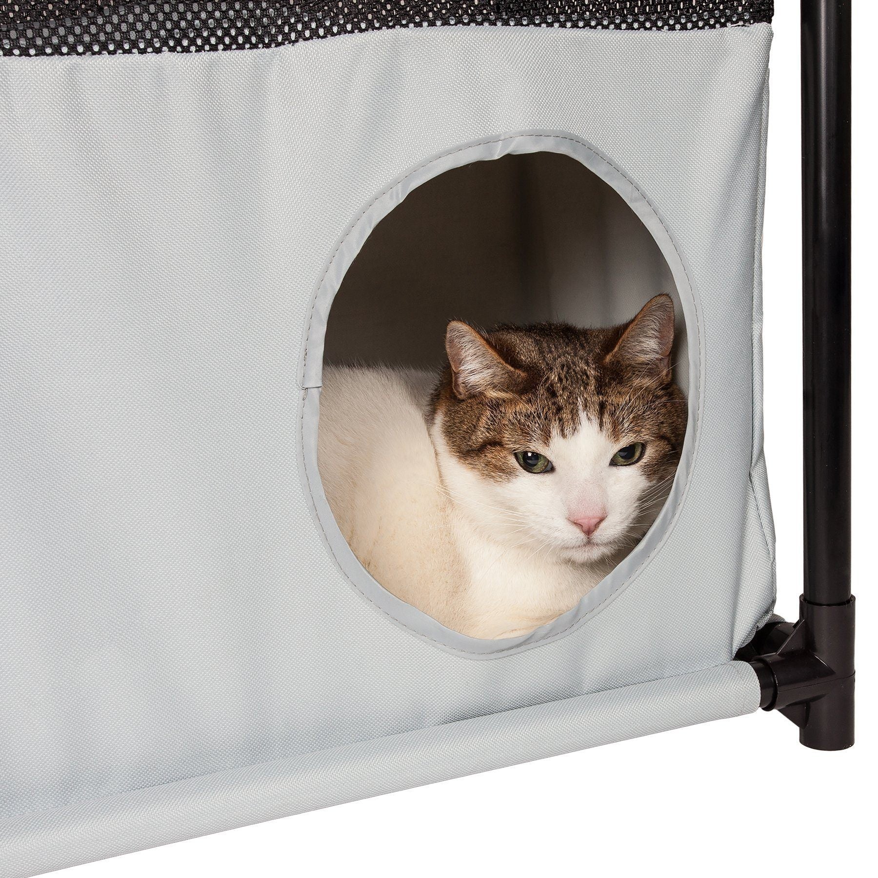 Cat peeking out from a gray pet playpen with a white background