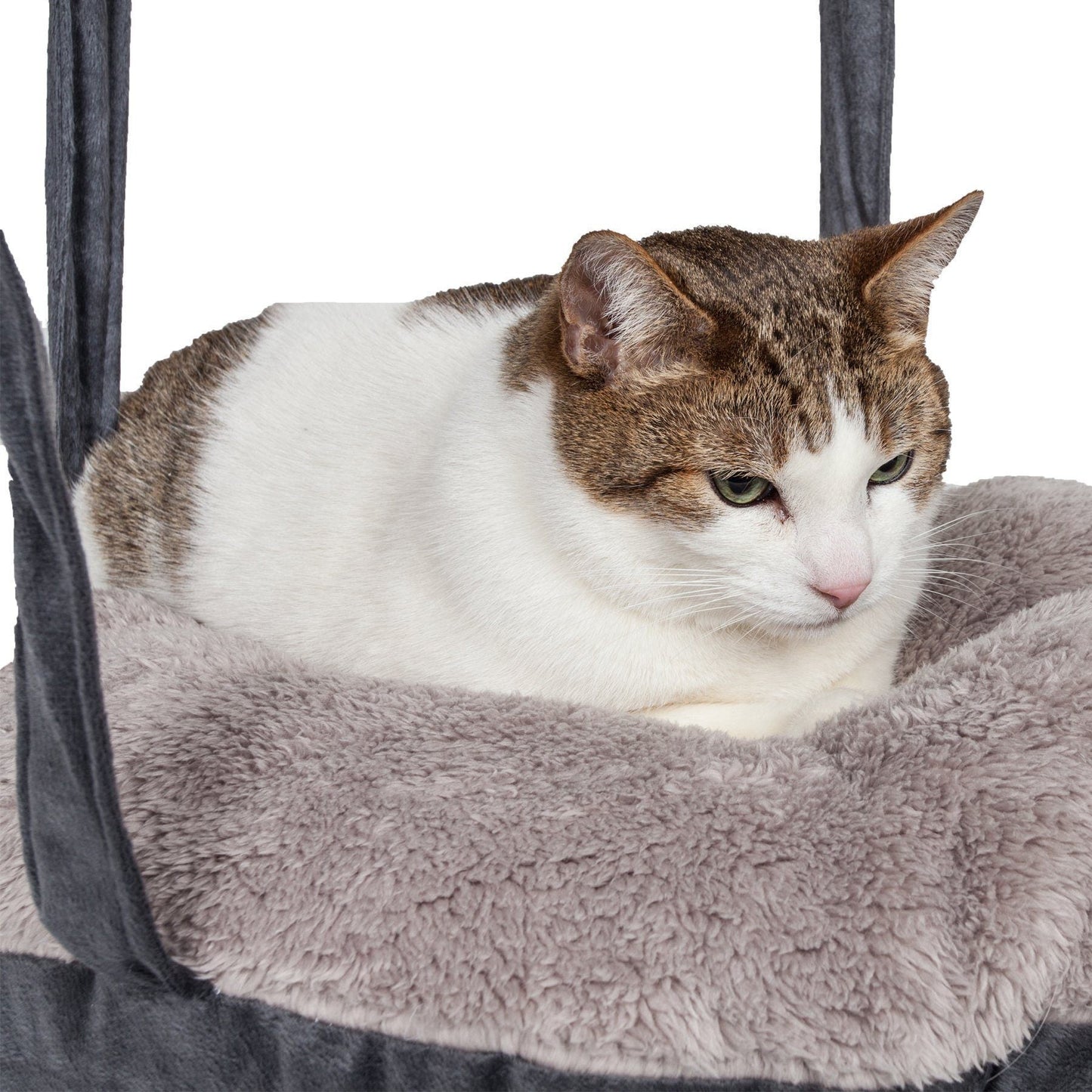 Cat sitting on a gray cushioned cat tree