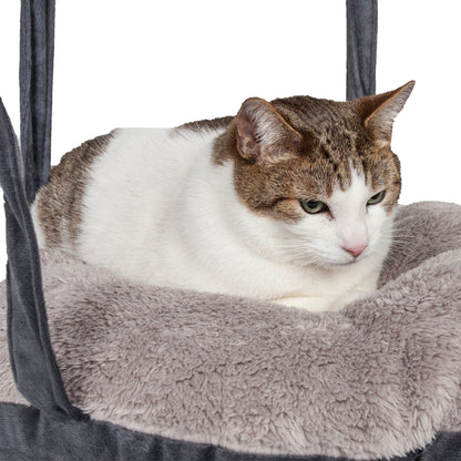 Cat sitting on a gray cushioned cat tree