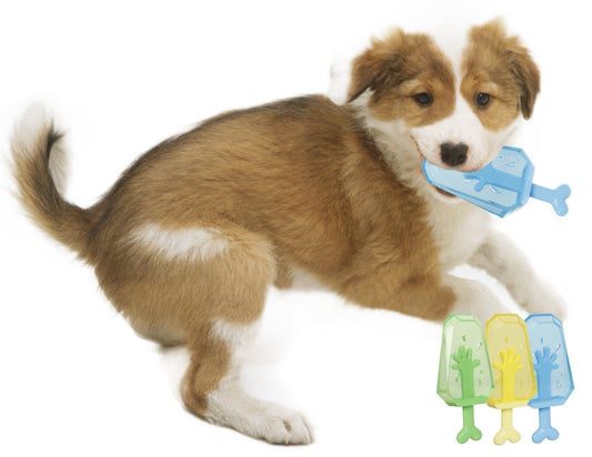 Puppy with a blue toy in its mouth on a white background, with colorful dog toys displayed below.