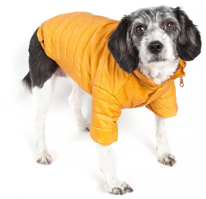 Dog wearing a yellow puffer coat on a white background