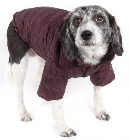 Dog wearing a maroon puffer coat on a white background