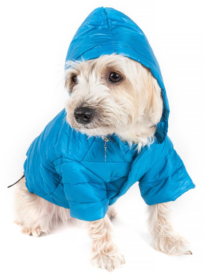 Dog wearing a blue raincoat on a white background