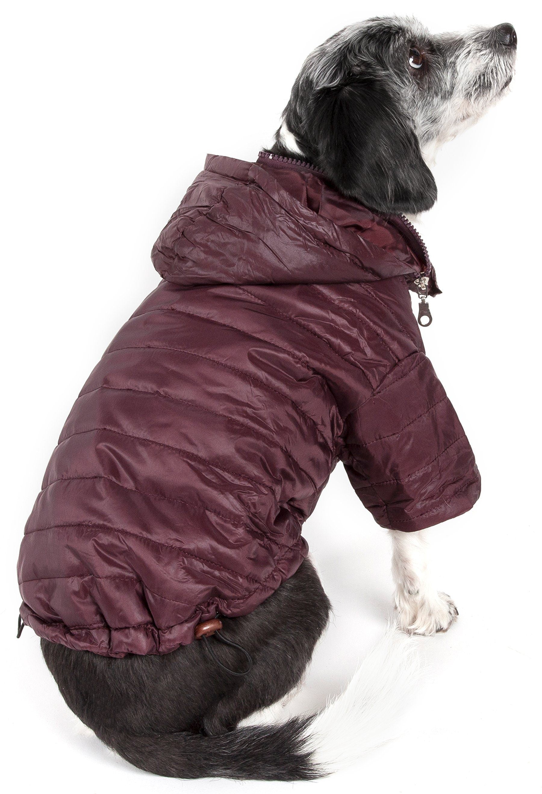 Dog wearing a maroon puffer jacket on a white background