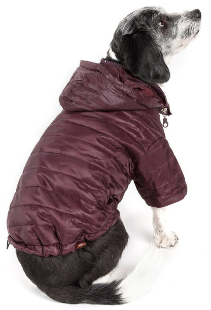 Dog wearing a maroon puffer jacket on a white background