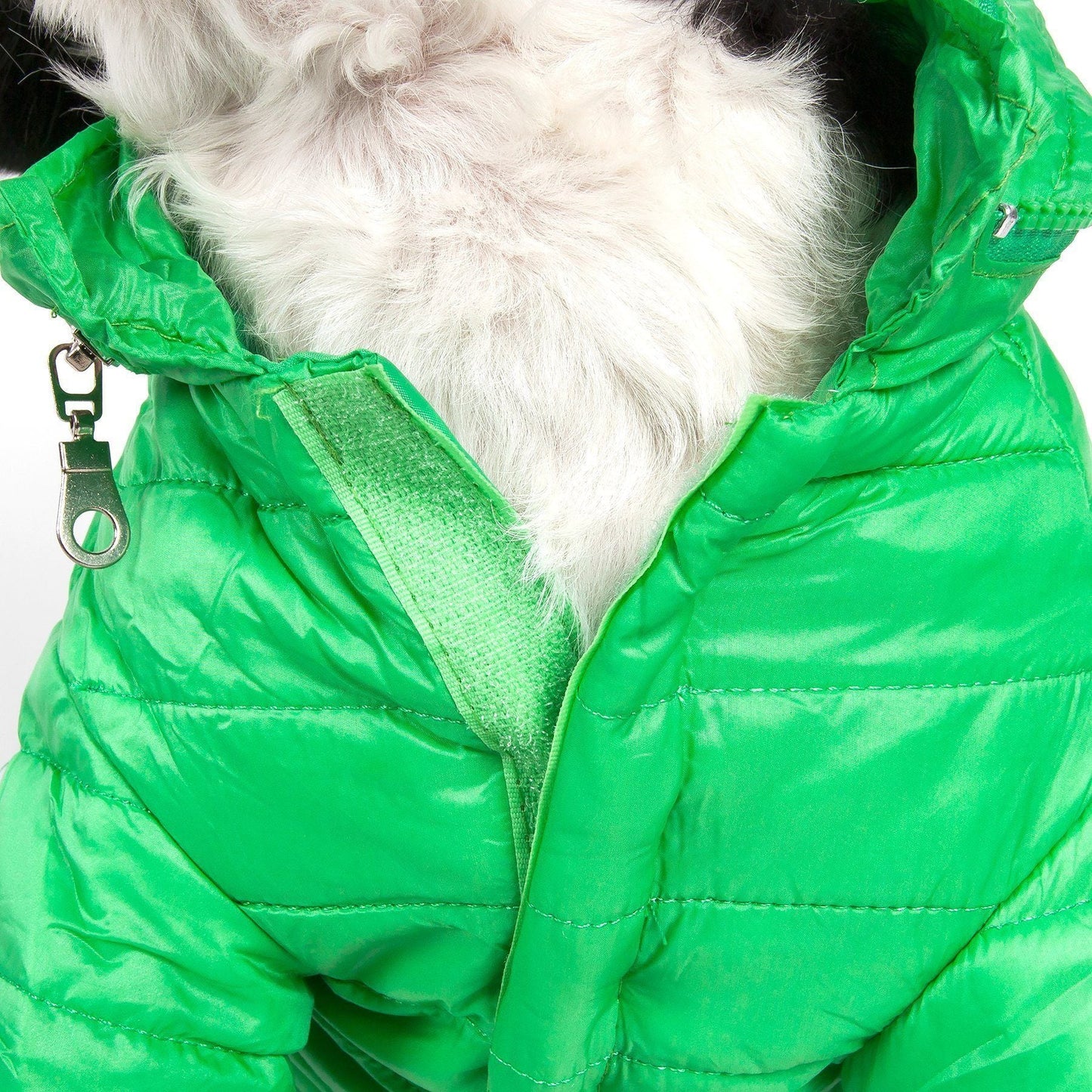 Dog wearing a green puffer jacket with a white fur background