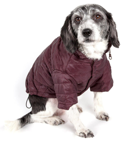 Dog wearing a maroon puffer coat on a white background