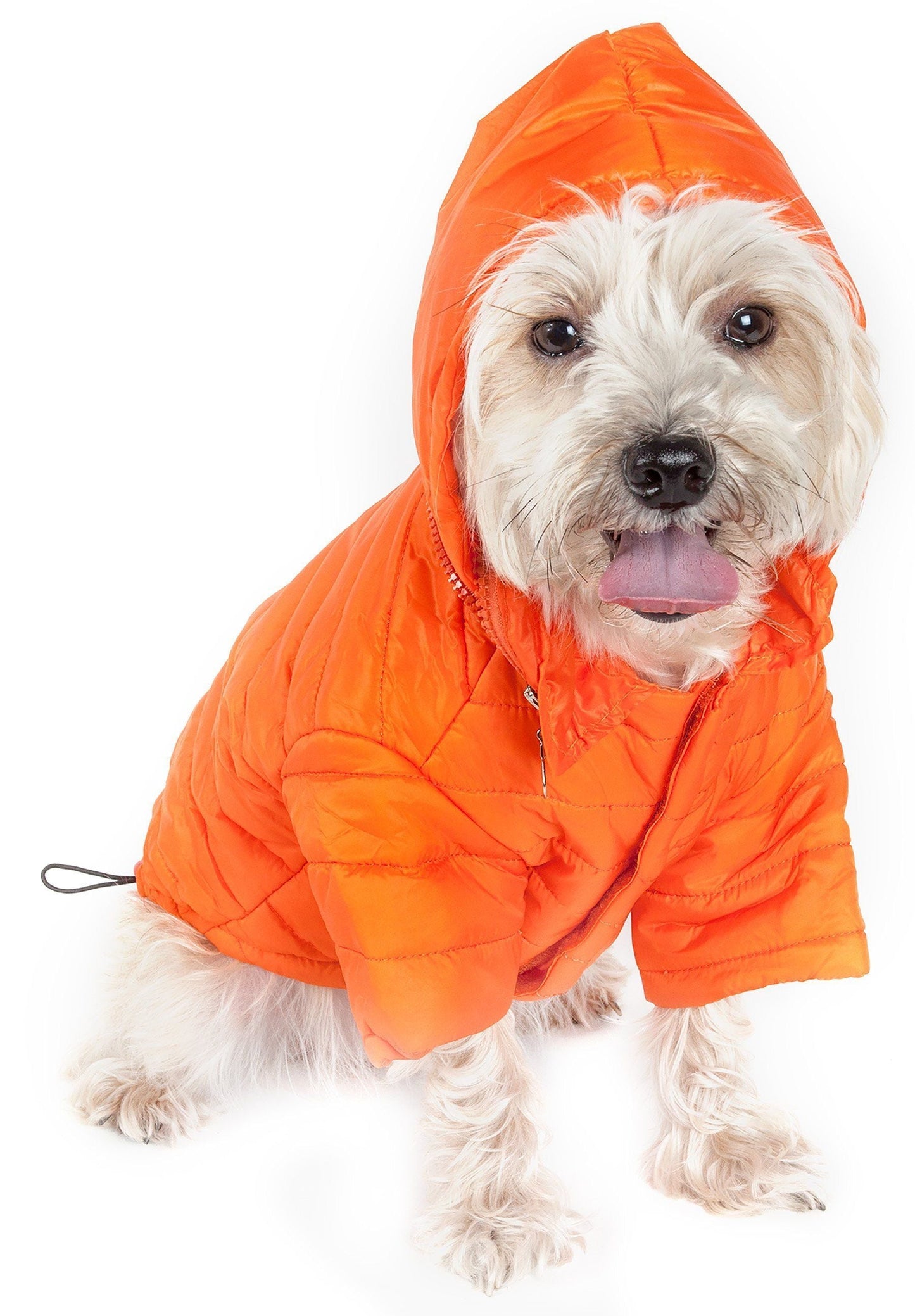 Dog wearing an orange hooded jacket on a white background