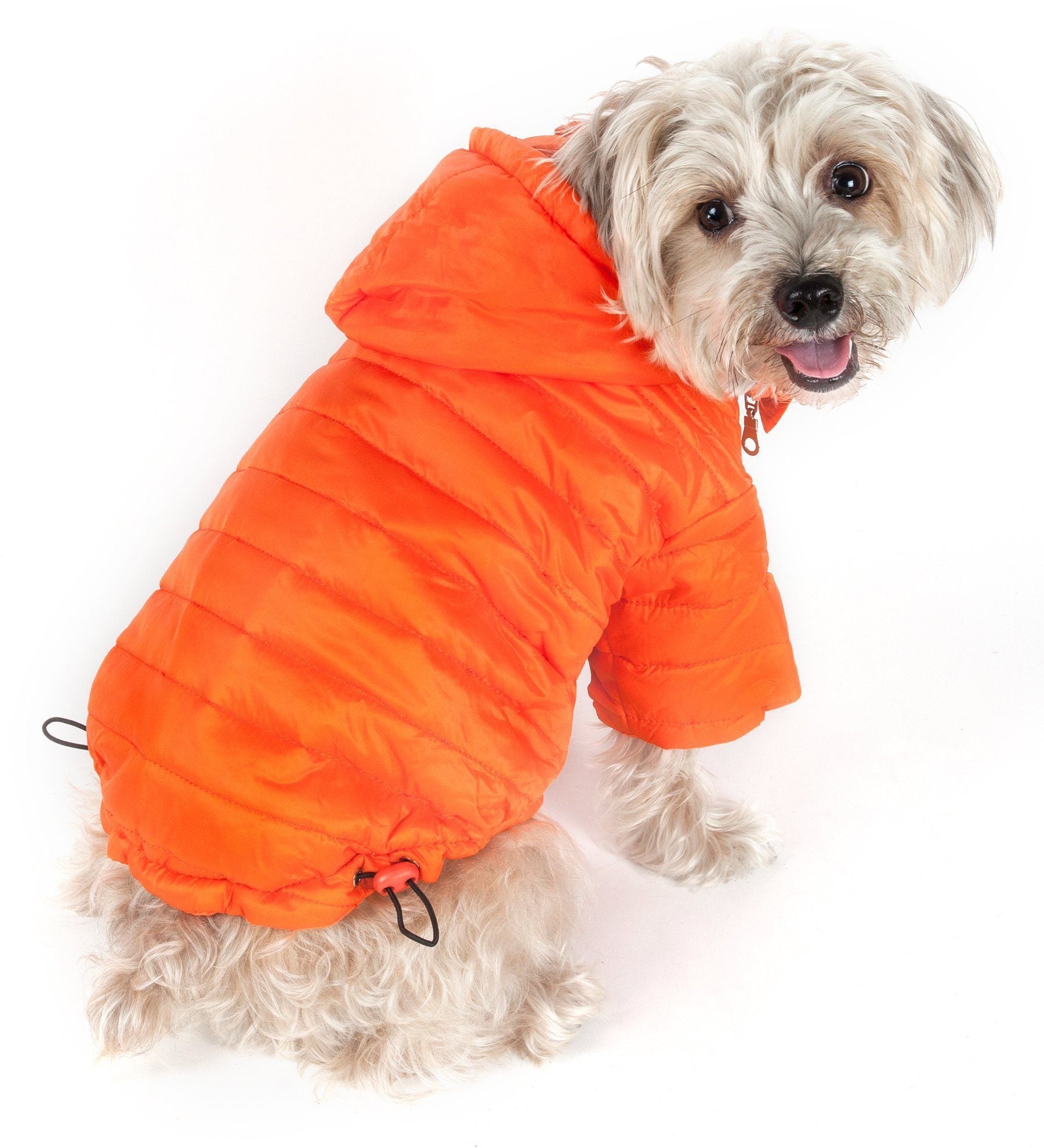 Dog wearing an orange puffer coat on a white background
