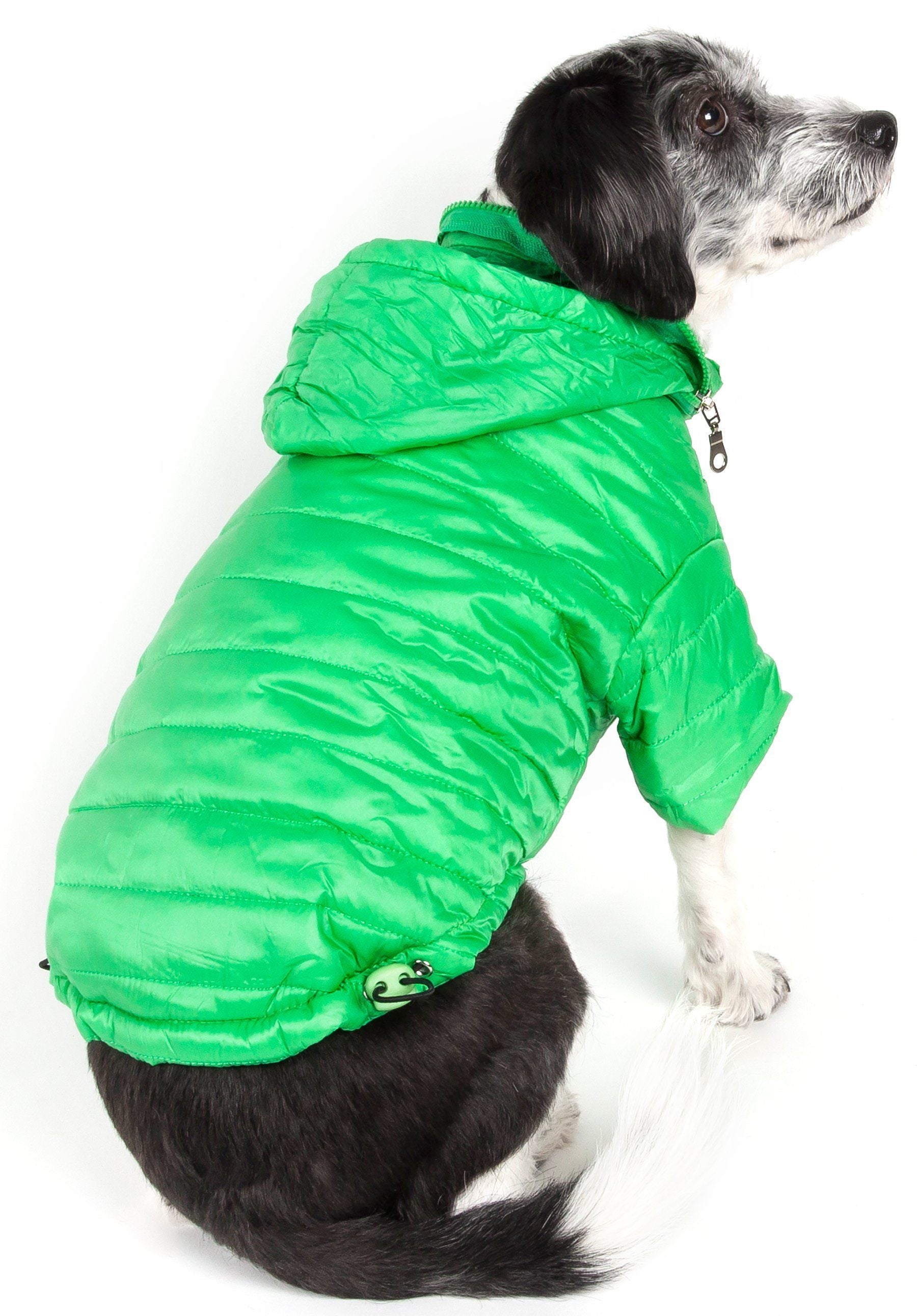 Dog wearing a green puffer jacket on a white background