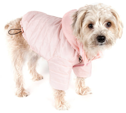 Dog wearing a pink quilted jacket on a white background