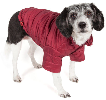 Dog wearing a red puffer coat on a white background