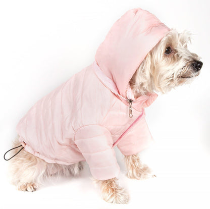 Dog wearing a pink puffer coat on a white background