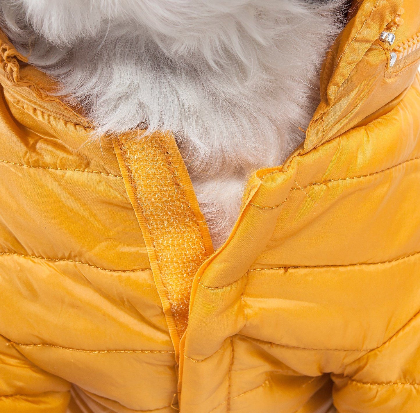 Close-up of a yellow puffer jacket with fur lining on a white background