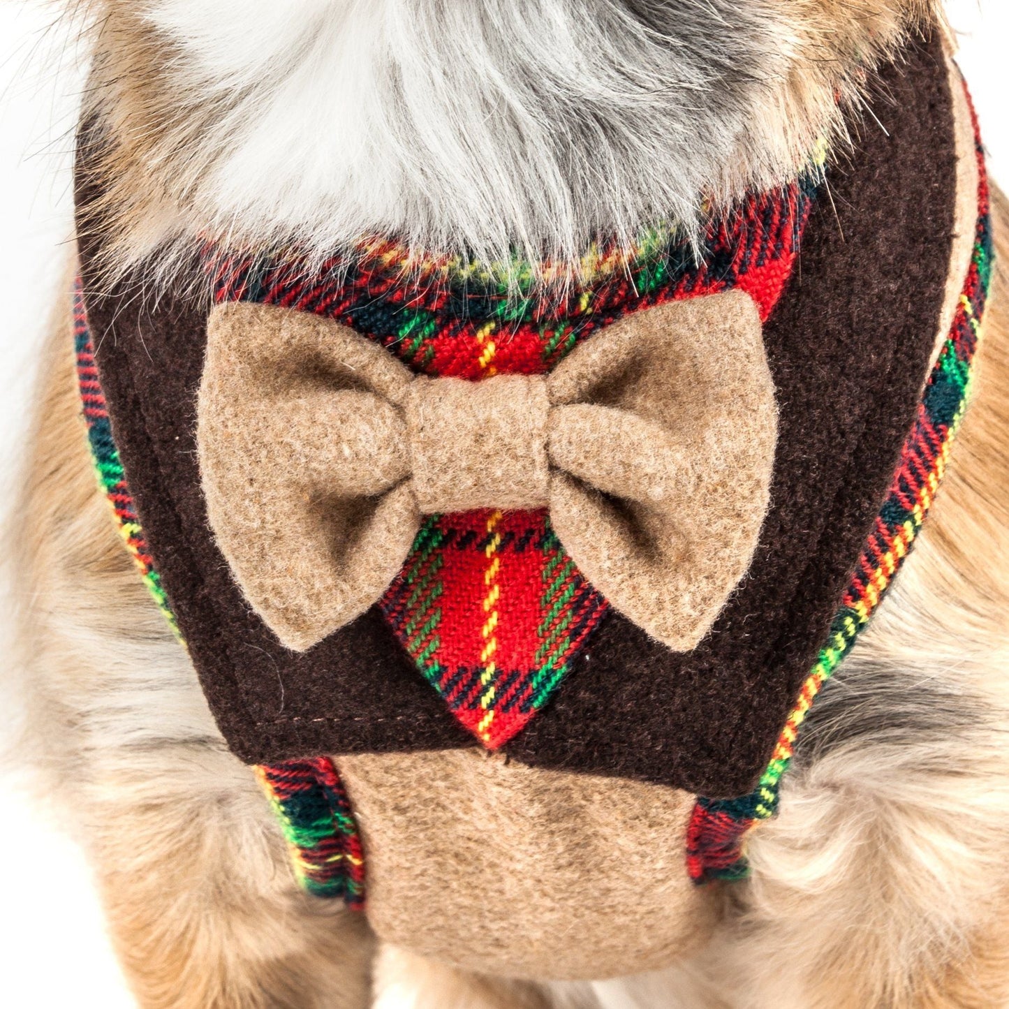 Dog wearing a plaid harness with a bow tie on a white background
