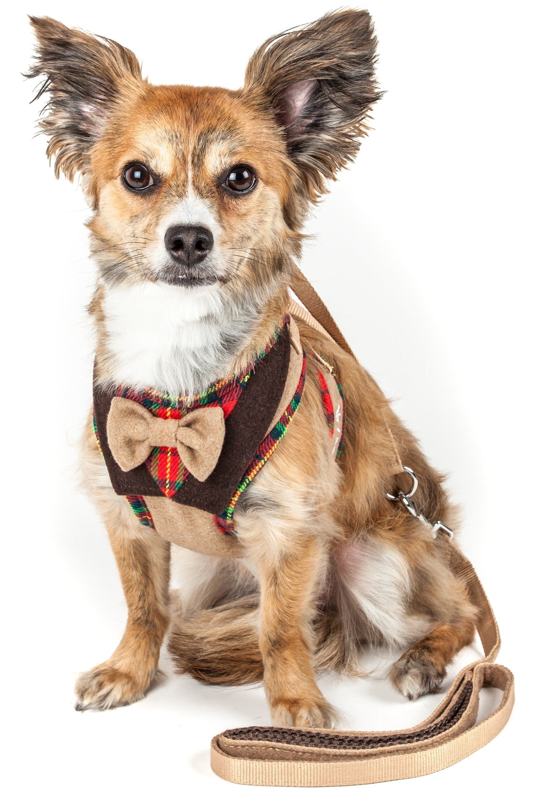 Dog wearing a plaid harness with a bow tie and leash on a white background